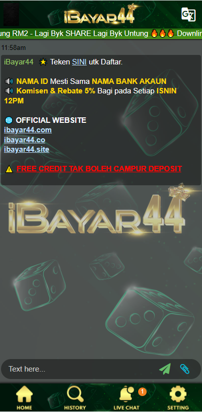 ibayar4404